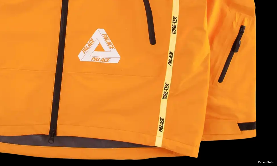 Affordable Palace Palex Jacket Gore-Tex 0701